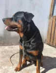 Thanos