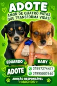 Eduardo