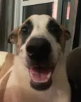 Kobe
