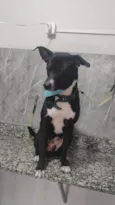 Sirius