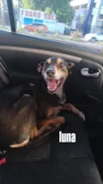 Luna