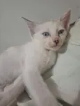 ainda sem nome