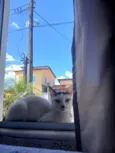 Mel