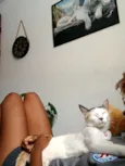 Mel