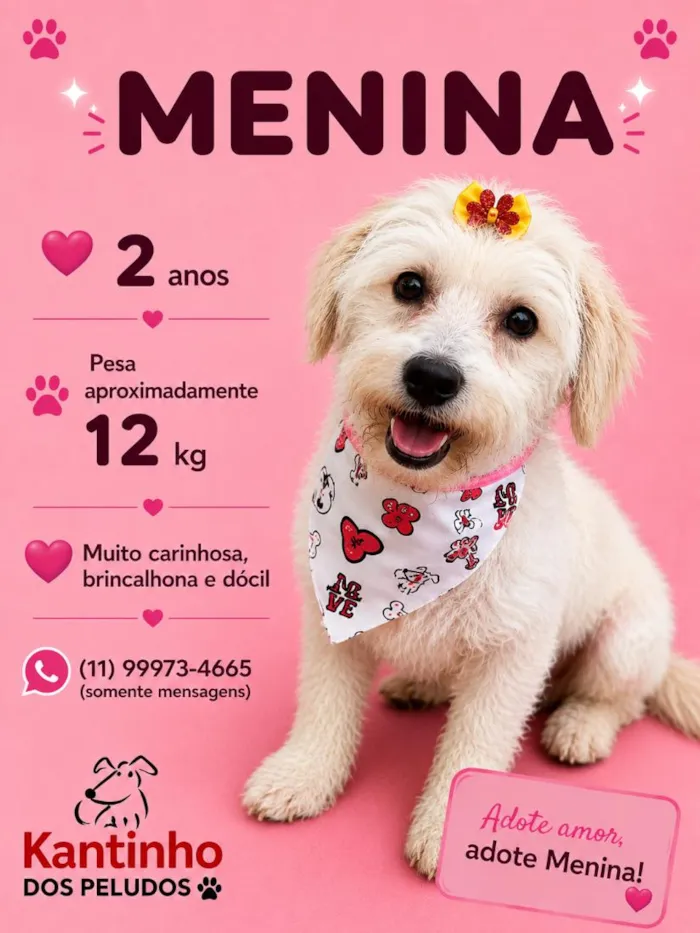 Cachorro raça SRD-ViraLata idade 2 anos nome Menina