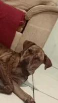 Stella e Thorfim 