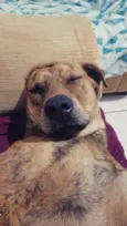 Stella e Thorfim 
