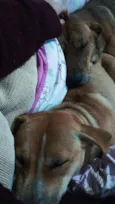 Stella e Thorfim 