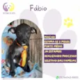 Fábio