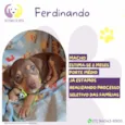 Fernando
