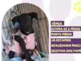 Filipa