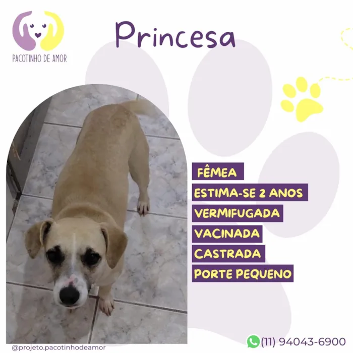 Cachorro raça SRD-ViraLata idade 2 anos nome Princesa