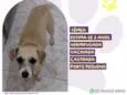 Princesa