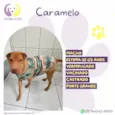 Caramelo
