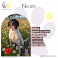 Nicole
