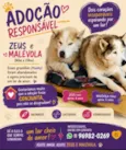Malévola e Zeus