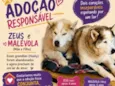 Malévola e Zeus