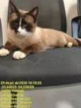 ENCONTRADO NO PQ DOS PODERES