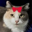 Trix