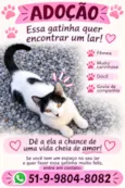 Mimosa