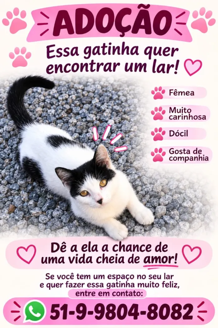 Gato raça SRD-ViraLata idade 2 a 6 meses nome Mimosa