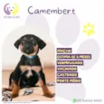 Camembert