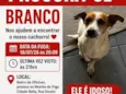 Branco