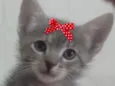 Tina