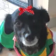 Rubi