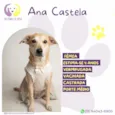Ana Castela