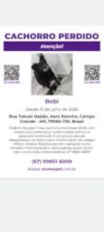 Bobi