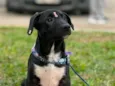 Zoe