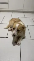 Bonno