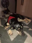 Fiona