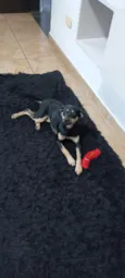 Fiona