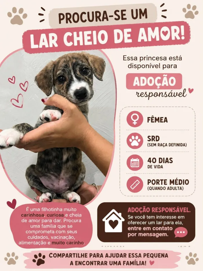 Cachorro raça SRD-ViraLata idade Abaixo de 2 meses nome Angel