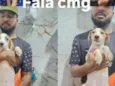 Valente/Juquinha/Pantera/ Bisquila /Huguinho 