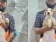 Valente/Juquinha/Pantera/ Bisquila /Huguinho 