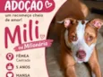 Mili