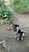 Pandora