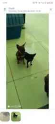 não tem nome 