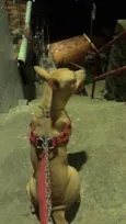 Pochita