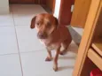 Valentina 