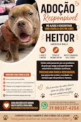 Heitor