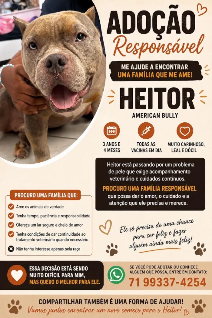 Cachorro raça Pit-Bull idade 3 anos nome Heitor