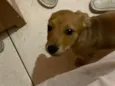 Kiara 
