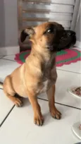 Mel