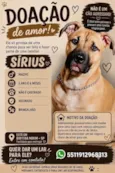 Sirius