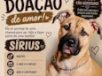 Sirius