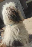 Desconhecido 